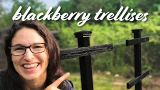 Blackberry Trellis DesignBuild — DIY Start to Finish [upl. by Ziegler664]