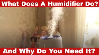 What Does a Humidifier Do Why Do You Need It [upl. by Sada66]