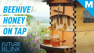 This Smart Beehive Harvests Honey Automatically  Future Blink [upl. by Annoyt]