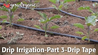 Drip IrrigationPart 3Using Drip Tape [upl. by Barb]