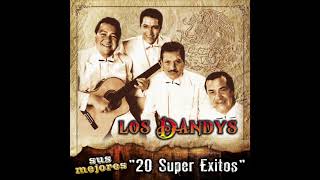 Los Dandys  Sus Mejores quot20 Super Exitosquot Disco Completo [upl. by Ahsyekat502]