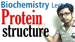 Protein structure  primary secondary tertiary and quaternary structure of protein [upl. by Danny]