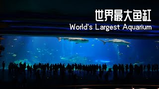 Worlds Largest Aquarium in Zhuhai Chimelong Ocean Kingdom  世界最大鱼缸，珠海长隆海洋王国 [upl. by Tnomad882]