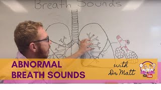 Abnormal Breath Sounds  Respiratory System [upl. by Joub]