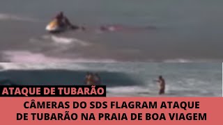 Ataque Real De Tubarão Na Praia De Boa Viagem Recife [upl. by Akli367]