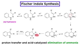 Fischer Indole Synthesis [upl. by Cairistiona]