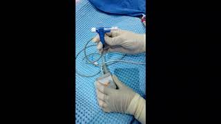 Transpulmonary thermodilution demonstration on PICCO device [upl. by Sina551]