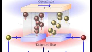 Peltier Effect Thermoelectric cooling [upl. by Tadeas]