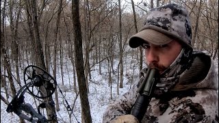 Archery Deer Hunt in Iowa [upl. by Carolyne353]