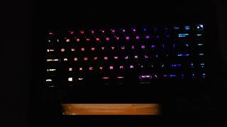 MSI GS66  RGB Keyboard demo all modes [upl. by Levona]