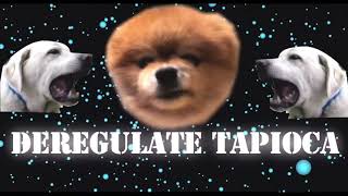 Deregulate Tapioca [upl. by Ecnahc]