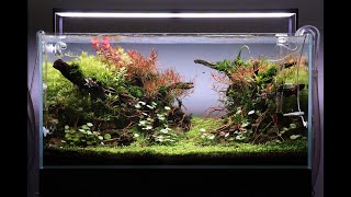 Aquascape Tutorial Step by Step 90cm Planted Aquarium [upl. by Amieva]