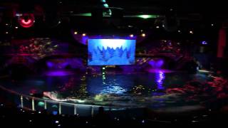 SeaWorld  Shamu Christmas Miracles [upl. by Hamer]