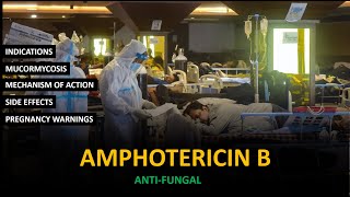 Amphotericin B  Antifungal  Black Fungus drpharma [upl. by Nos159]