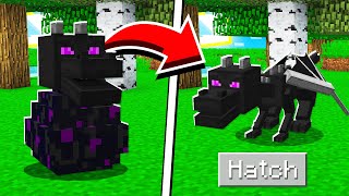 How to HATCH the ENDER DRAGON EGG in Minecraft Tutorial [upl. by Ecineg]