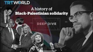 Deep Dive A history of BlackPalestinian solidarity [upl. by Yenruogis72]