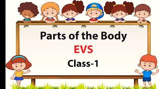 Parts Of The Body EVS Class 1 My Body [upl. by Theodora]