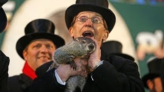 Groundhog Day 2014 Punxsutawney Phil Sees Shadow [upl. by Assina518]