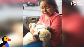 Girl Cries Over Dogs New Haircut  The Dodo [upl. by Misab]