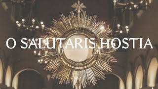 O Salutaris Hostia  Catholic Latin Hymn [upl. by Green]