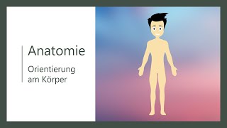 Orientierung am Körper  topografische Anatomie  Basics [upl. by Frydman]