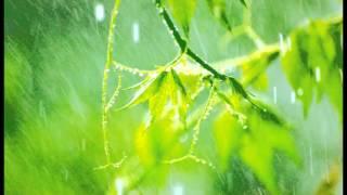 10 Minutes of relaxing rain sounds for Meditation Ideal for Beginners [upl. by Agneta]