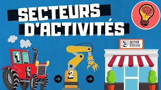 LES SECTEURS DACTIVITES  DE PRODUCTION [upl. by Alit]