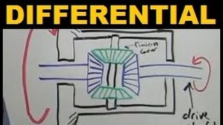 Differentials  Explained [upl. by Suirada600]