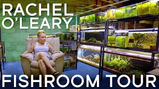 Touring Rachel OLearys Fishroom in 4K [upl. by Rinaldo607]