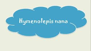 Hymenolepis nana amp diminuta amp Dipylidium caninum [upl. by Siseneg408]