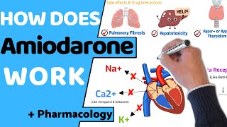 How does Amiodarone Work  Pharmacology [upl. by Nnaillij]