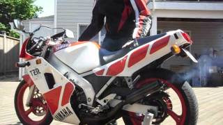 1988 Yamaha TZR 250 two stroke cold start [upl. by Brendin189]