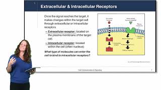 Cell Physiology Cell Signaling [upl. by Filler]