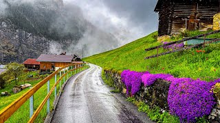 Beautiful rain walking tour in Gimmelwald 🇨🇭 A Swiss village [upl. by Coyle247]