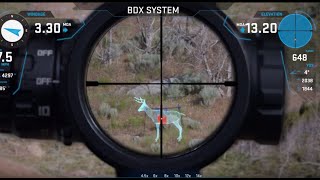 How to Use BDX Riflescopes and Rangefinders [upl. by Selene]