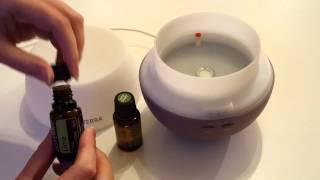 How to use a diffuser for your Essential Oils [upl. by Asoramla]