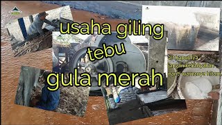 usaha gula merah tebu Tulungagung [upl. by Zuliram]