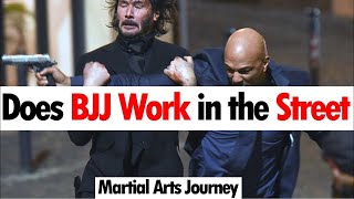 Does BJJ Work in the Street • Martial Arts Journey [upl. by Yral378]