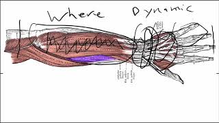 Stop Wrist Pain Now Dr Alan Mandell DC [upl. by Hannazus]