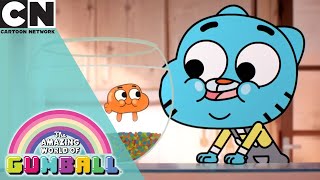 Sing with Darwin  The Amazing World of Gumball  Cartoon Network [upl. by Laurene]