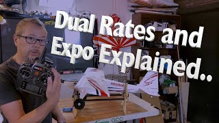 Spektrum Dual Rates and Expo How To [upl. by Kcam]