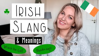 Irish Slang and Phrases [upl. by Bodrogi602]