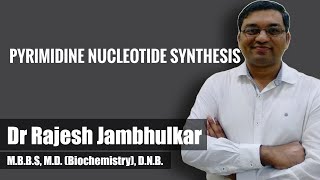 Pyrimidine nucleotide synthesis and degradation [upl. by Yniattirb]