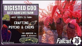 Where to Find Digested Goo amp Pitcher Plant  Best Adhesive Farm in Fallout 76  Crafting Psycho Chem [upl. by Aiyt]