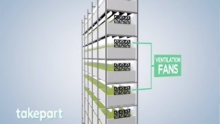 Vertical Farms  Design and Innovation  TakePart [upl. by Pisarik]