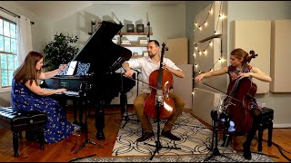 The Flower Duet from Lakmé  2 Cellos amp Piano [upl. by Erreip]