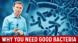 Friendly Bacteria Why You Really Need And how it Helps – Dr Berg [upl. by Laemsi617]