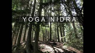 Yoga Nidra  Tiefenentspannung  alle Stufen Deutsch [upl. by Savihc24]