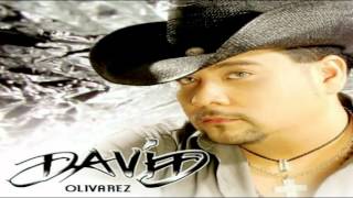 No Te Vayas  David Olivares [upl. by Prudi]