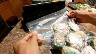 Crenova VS100S Vacuum Sealer Review [upl. by Azmah248]